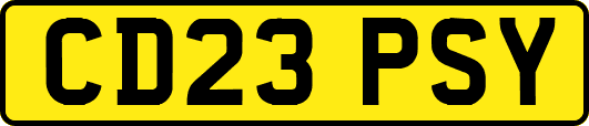 CD23PSY