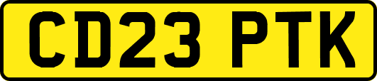 CD23PTK
