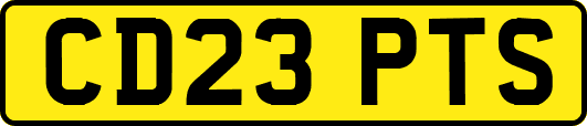 CD23PTS