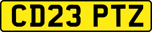 CD23PTZ