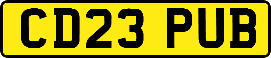 CD23PUB