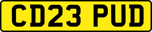 CD23PUD