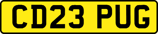CD23PUG