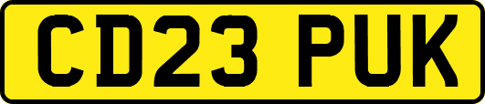 CD23PUK