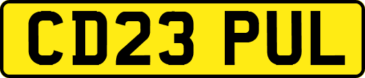 CD23PUL