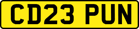 CD23PUN