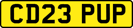 CD23PUP