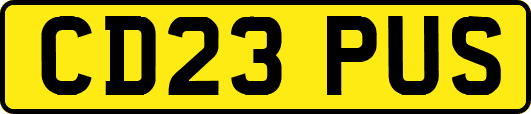 CD23PUS