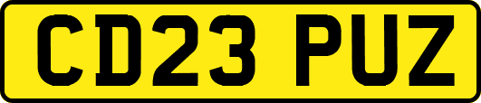 CD23PUZ