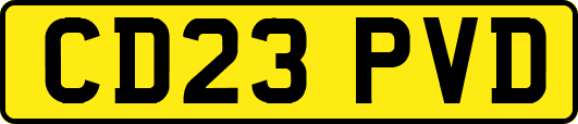 CD23PVD