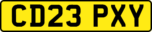 CD23PXY