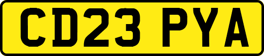 CD23PYA