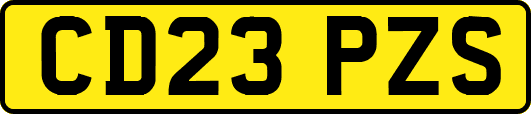 CD23PZS