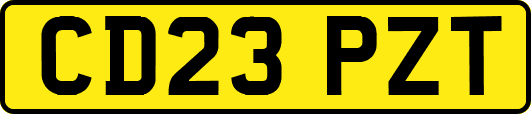 CD23PZT