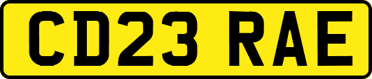 CD23RAE