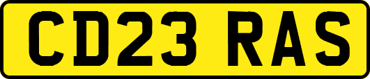 CD23RAS