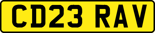 CD23RAV