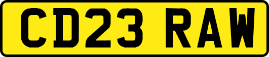 CD23RAW