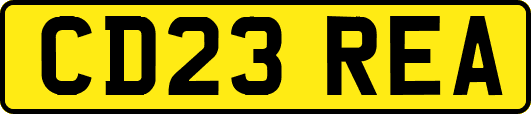 CD23REA