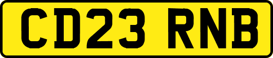 CD23RNB