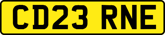 CD23RNE