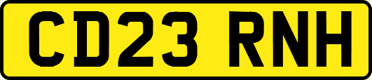 CD23RNH