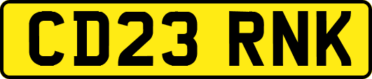 CD23RNK