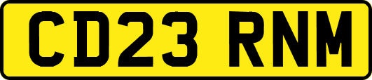 CD23RNM