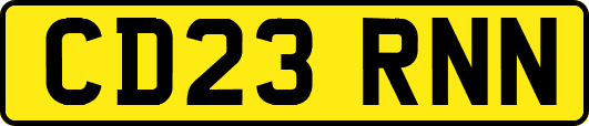 CD23RNN