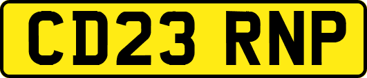 CD23RNP
