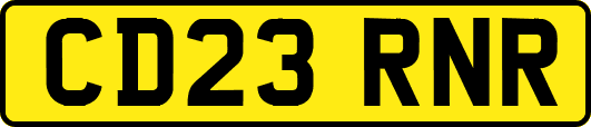 CD23RNR