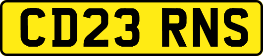 CD23RNS