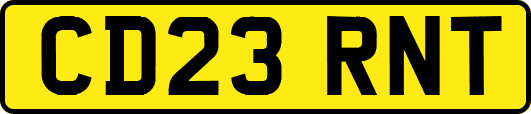 CD23RNT