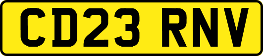 CD23RNV