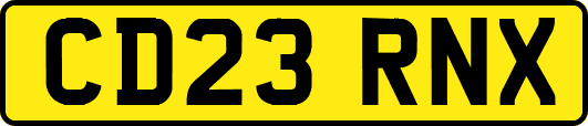 CD23RNX