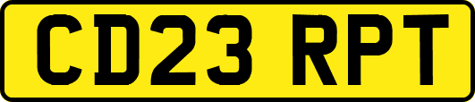CD23RPT