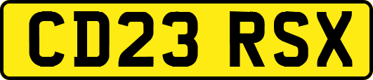 CD23RSX