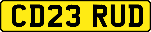 CD23RUD