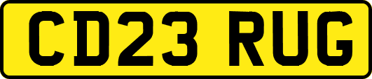CD23RUG