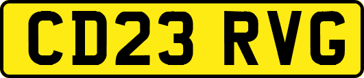 CD23RVG