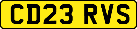 CD23RVS