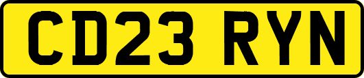 CD23RYN