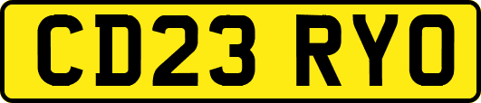 CD23RYO