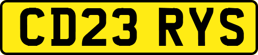 CD23RYS
