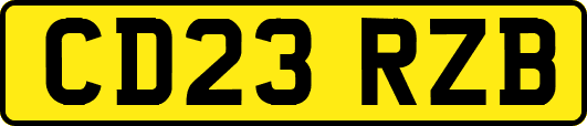 CD23RZB