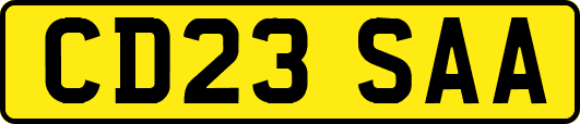 CD23SAA
