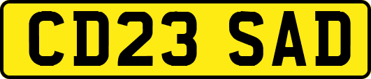 CD23SAD