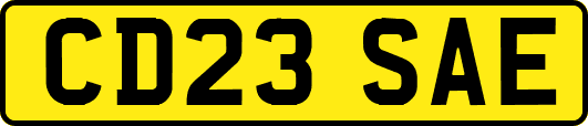 CD23SAE