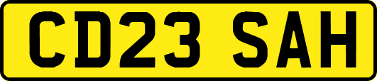 CD23SAH