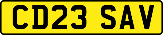 CD23SAV